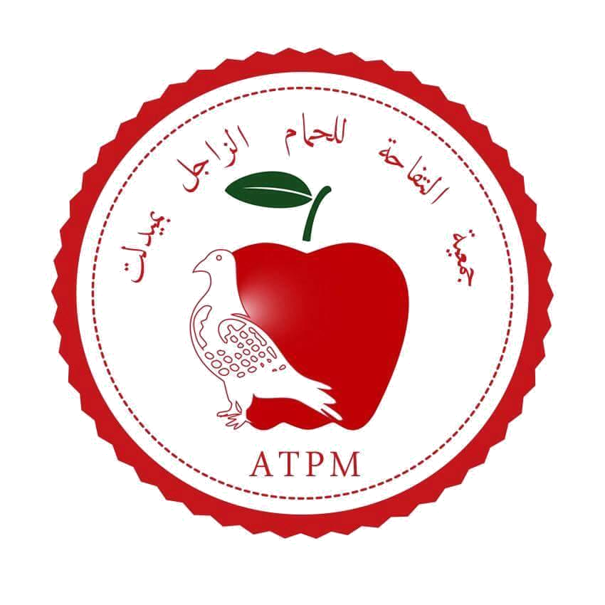 association attofaha des pigeon a midelt