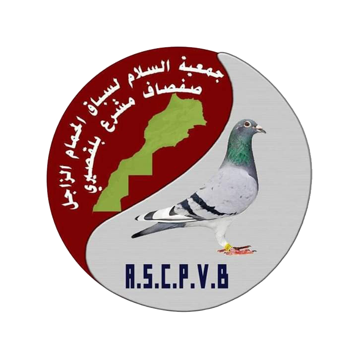 جمعية السلام لسباق الحمام الزاجل صفصاف بلقصيري