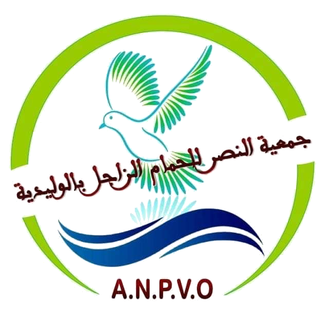 جمعية النصر للحمام الزاجل بالوليدية