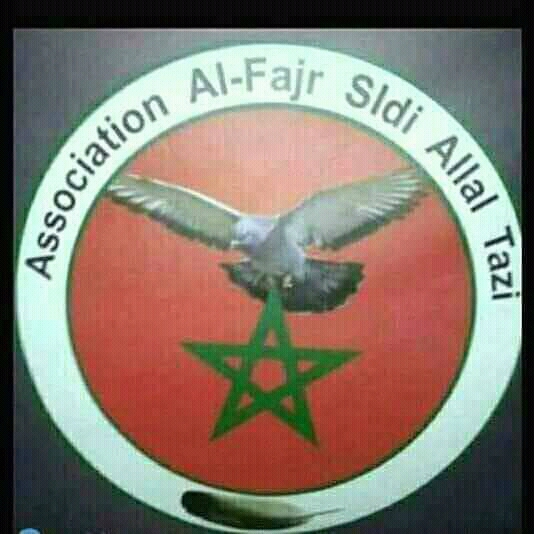 Association al fajar colombophiel sidi alal tazi