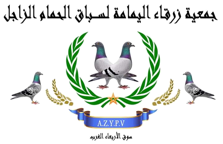 Association zarkae yamama colmbophie