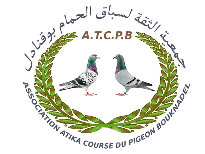 جمعية الثقة لسباق الحمام بوقنادل