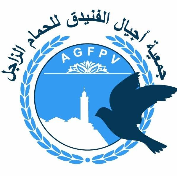 جمعية أجيال الفنيدق للحمام الزاجل