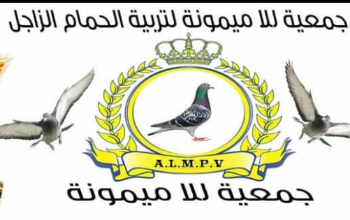 جمعية لالة ميمونة لسباق الحمام الزاجل