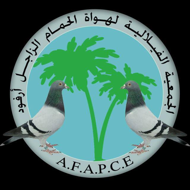 الجمعية الفلالية لهواة حمام السباق ارفود