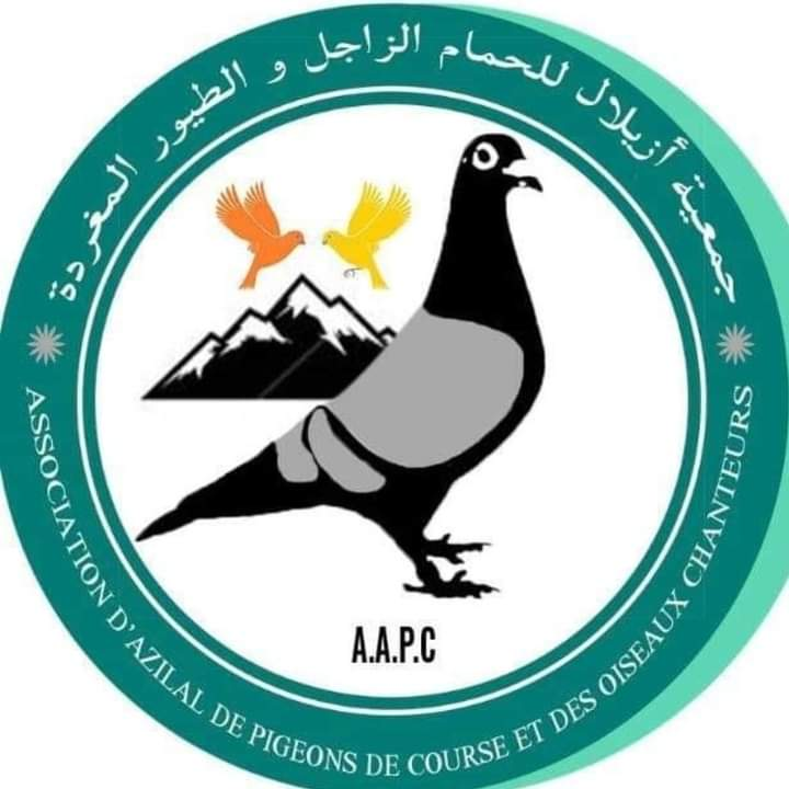 جمعية ازيلال للحمام الزاجل و الطيور المغردة