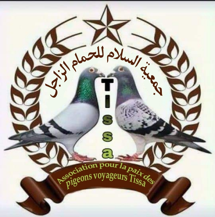 جمعية السلام للحمام الزاجل تيسة