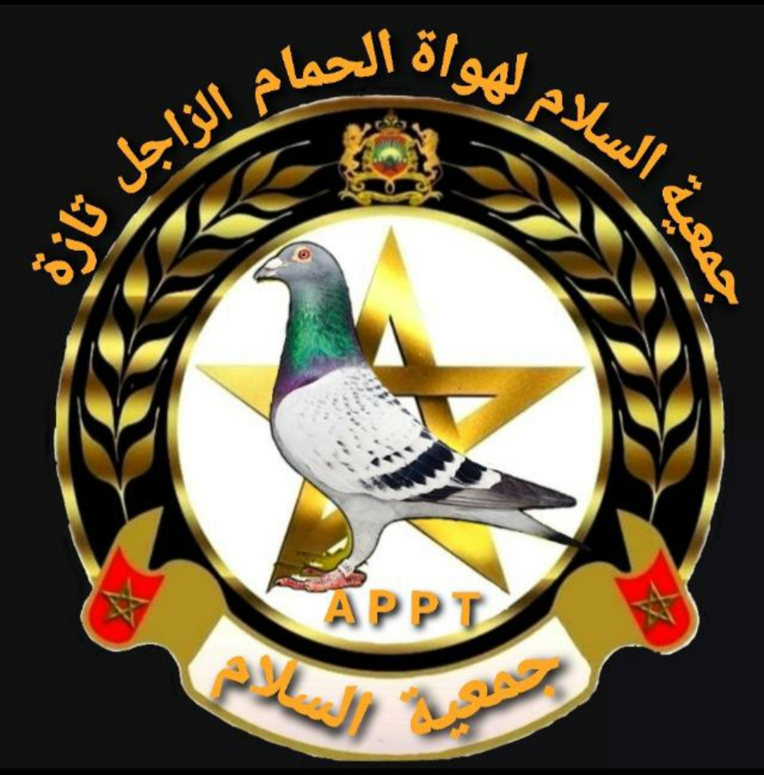 جمعية السلام لهواة الحمام الزاجل بتازة