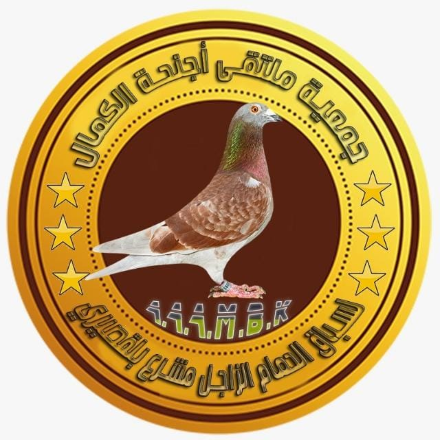 جمعية ملتقى اجنحة الكمال لسباق الحمام الزاجل بلقصيري