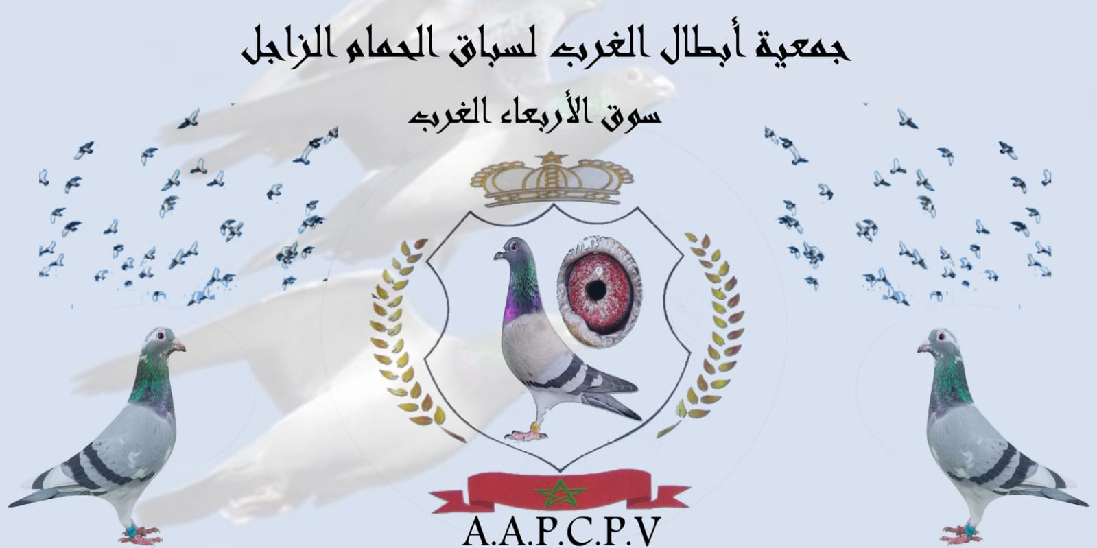 جمعية أبطال الغرب لسباق الحمام الزاجل