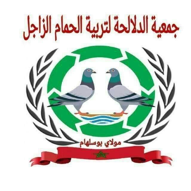 جمعية الدلالحة لتربية الحمام الزاجل
