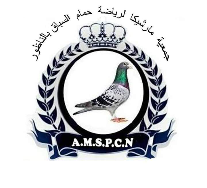 جمعية مارشيكا لرياضة حمام السباق بالناظور