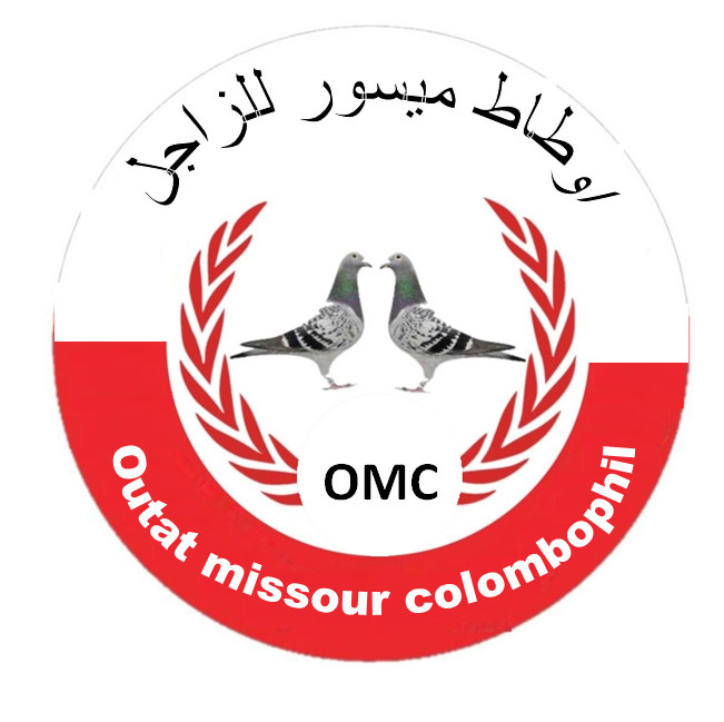 Outat Missour Colombophile