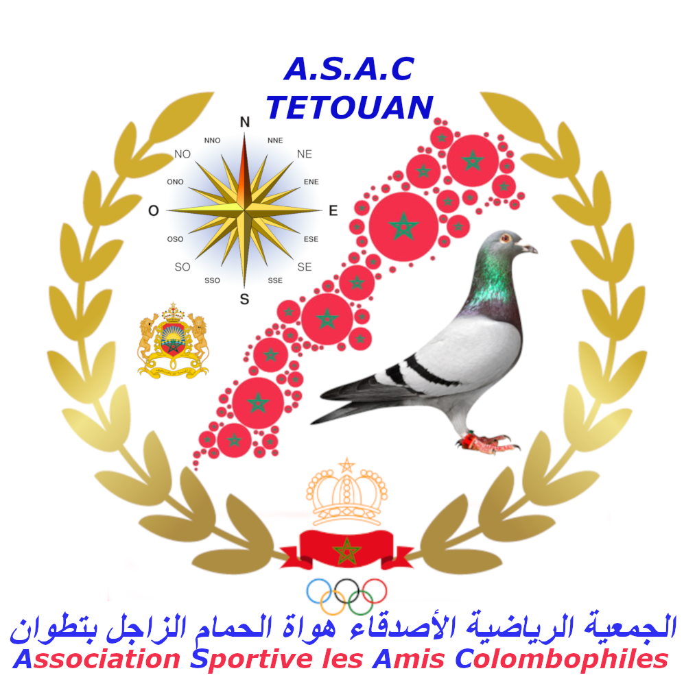 ASSOCIATION SPORTIVE LES AMIS COLOMBOPHILES DE TETOUAN-الأصدقاء هواة الحمام الزاجل تطوان