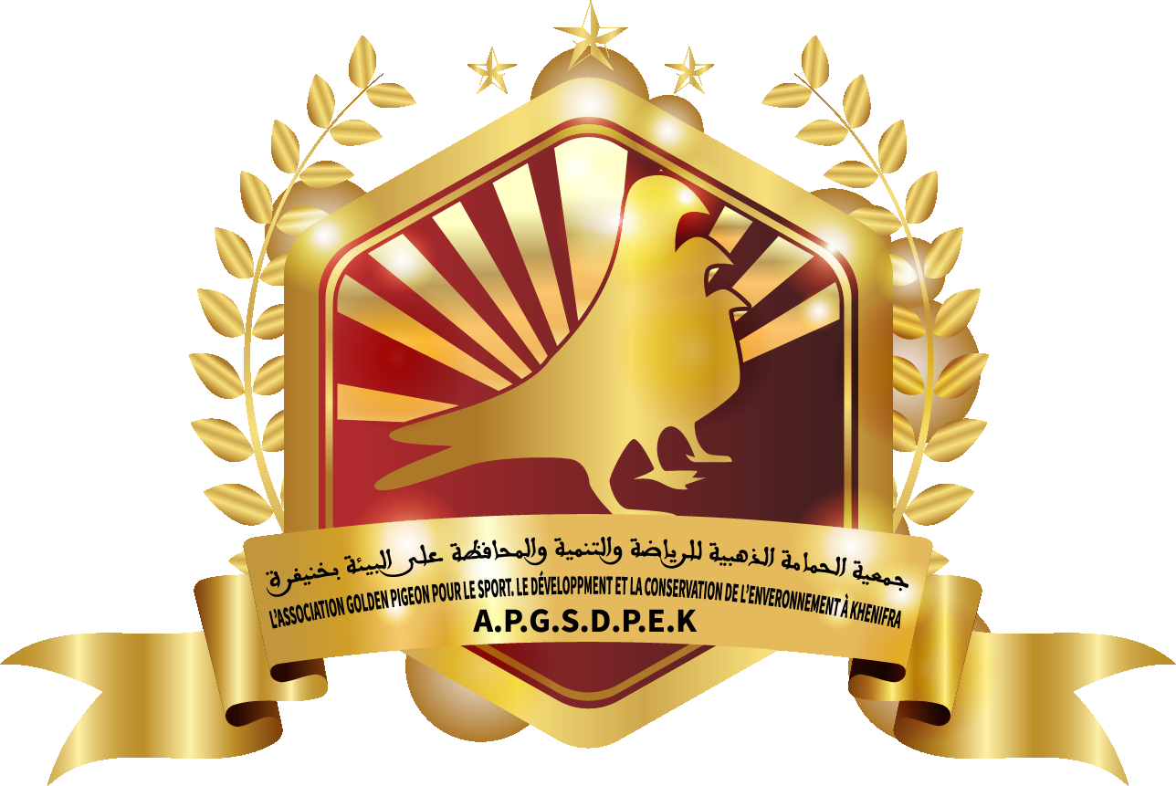 جمعية الحمامة الذهبية للرياضة و التنمية و المحافضة على البيئة بخنيفرة