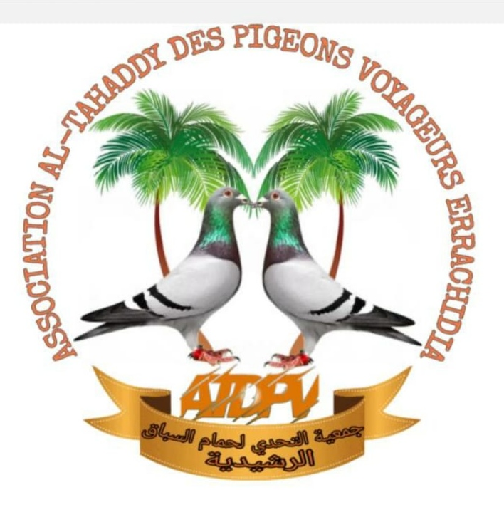 جمعية التحدي لحمام السباق الرشيدية