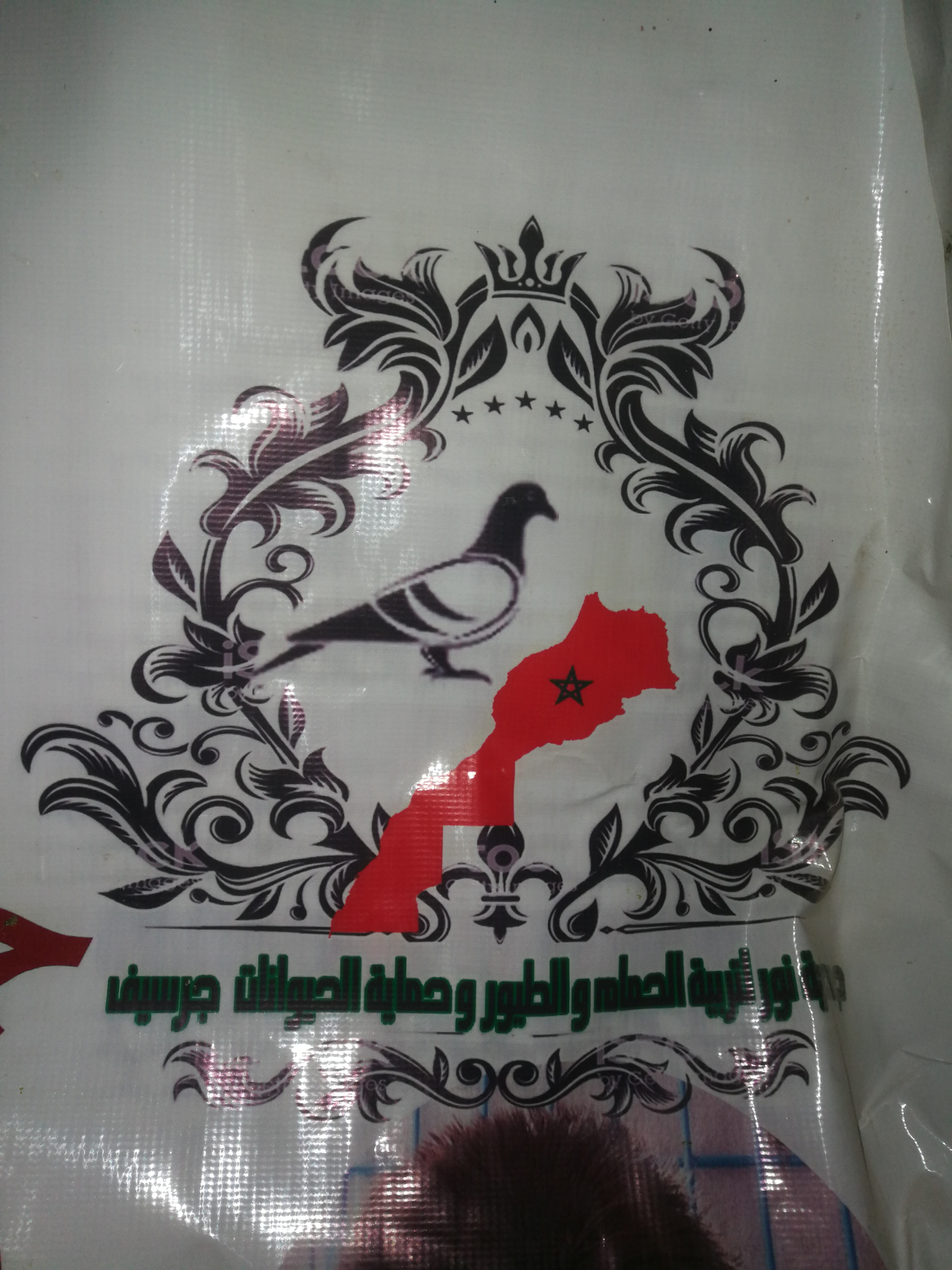 جمعية نور لتربية الحمام والطيور وحماية الحيوانات جرسيف