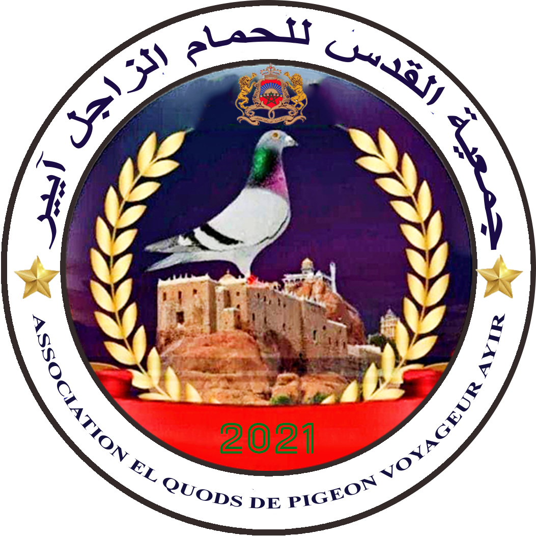 جمعية القدس للحمام الزاجل آيير