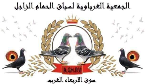 الجمعية الغرباوية لسباق الحمام الزاجل