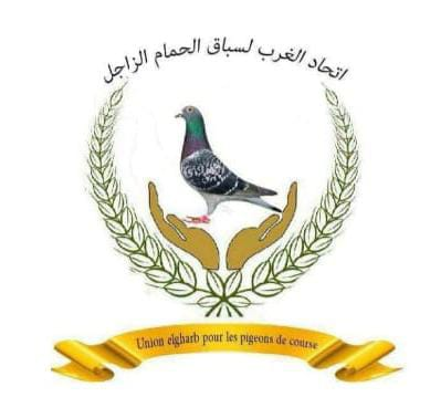 نادي النخبة لسباق الحمام الزاجل