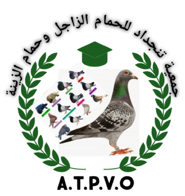 جمعية تنجداد للحمام الزاجل وحمام الزينة