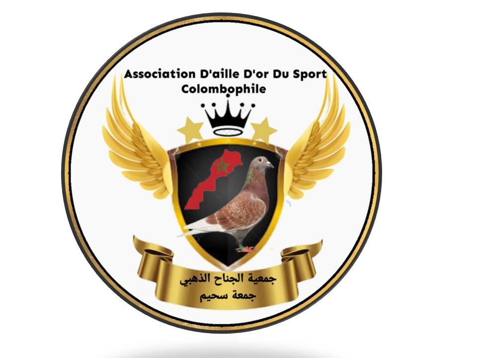 Association D’Aile d or Du Sport Colombophile à Jemaa Shaim