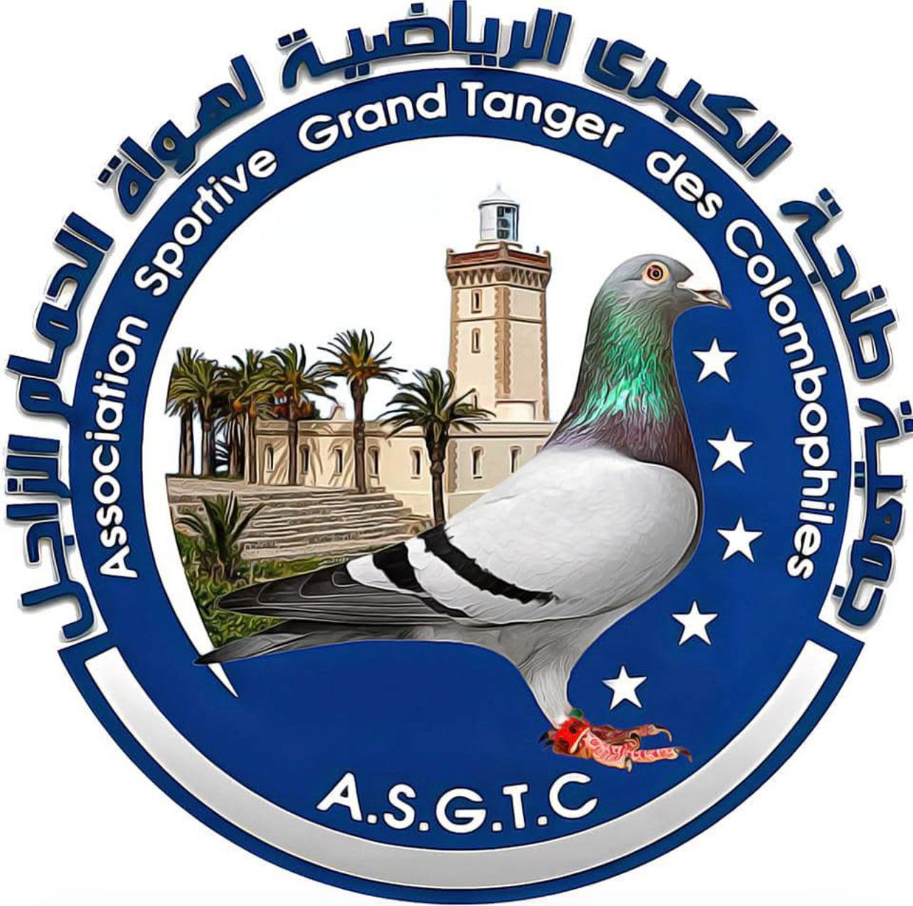 جمعية طنجة الكبرى الرياضية لهواة الحمام الزاجل Association Sportive Grand Tanger des Colombophiles