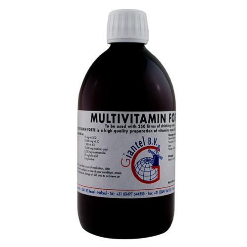 MULTI VITAMIN FORTE