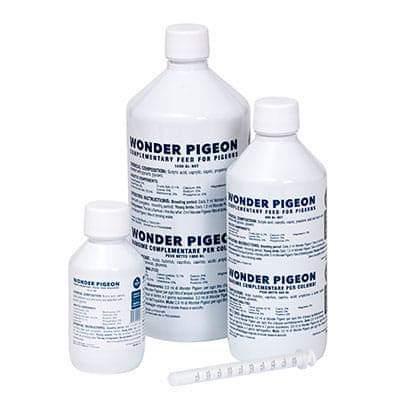 Wonder pigeon 