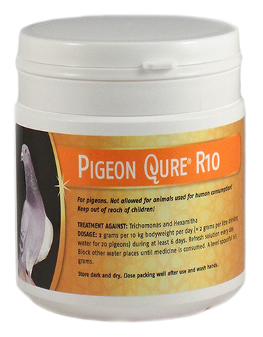 PigeonQure